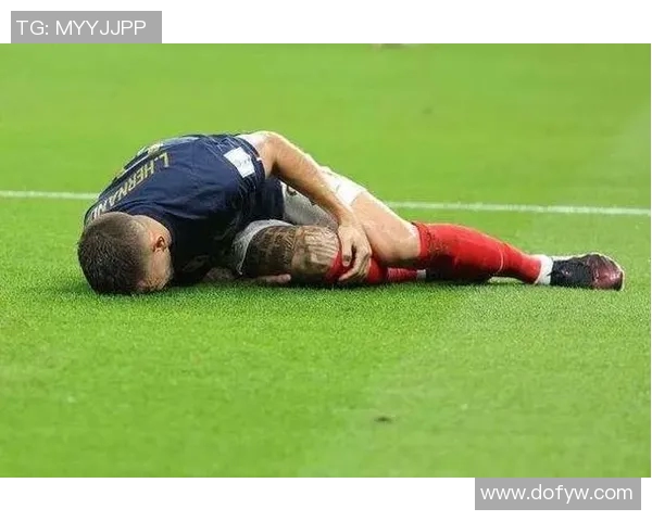 世界杯预选赛法国卢卡斯埃尔南德斯关键封堵